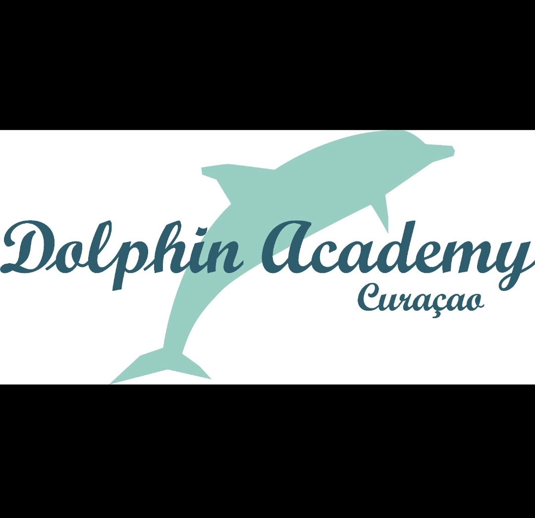 Screenshot_20260217_130921_Gallery